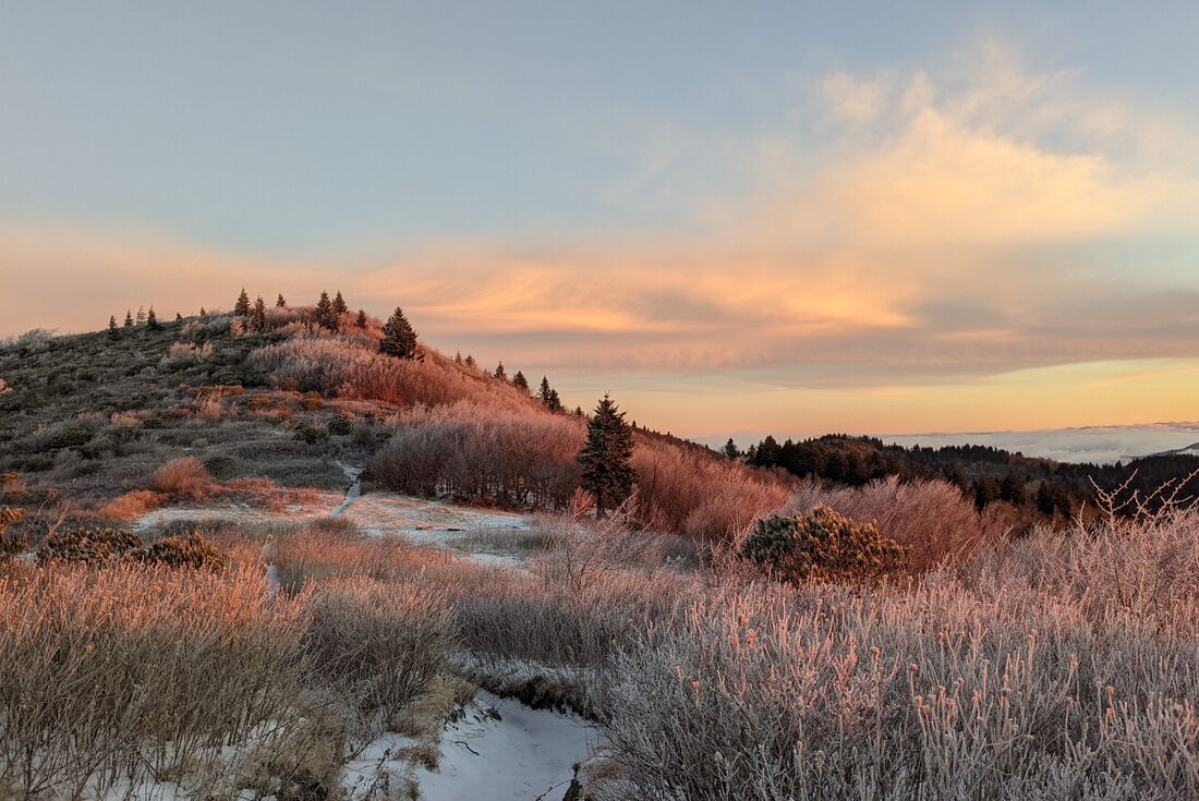Morning frost and snow on the trail