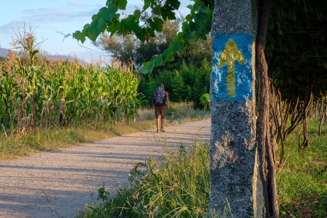 A hand painted Camino sign marks a countryside column on the way to Santiago de Compostela
