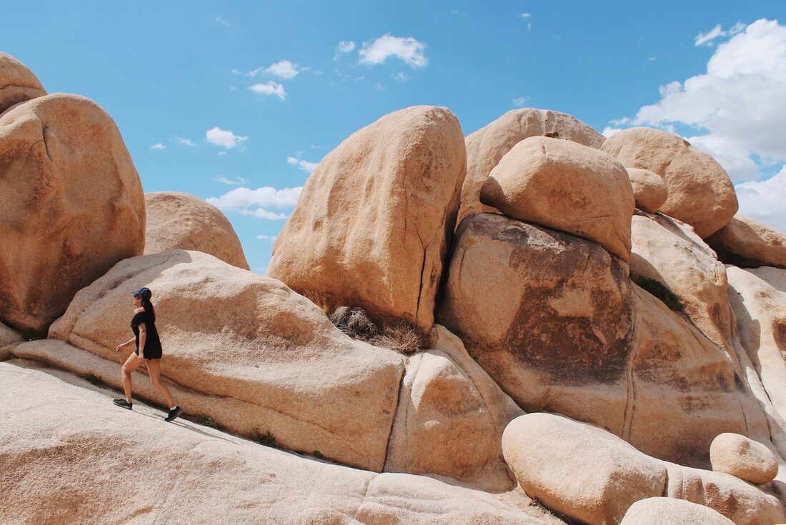 traveler walking in Joshua Tree National Park