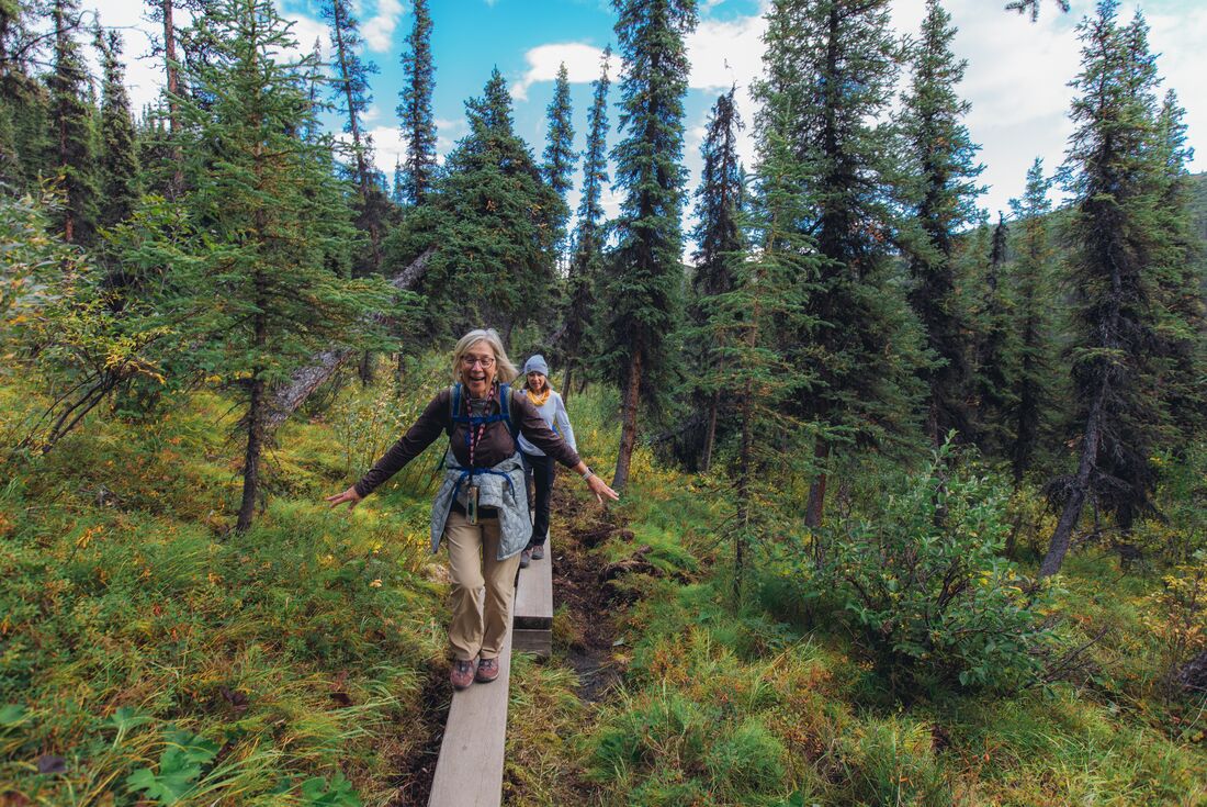 Travellers smile with joy while hiking on a board trail in Denali National Park in Alaska