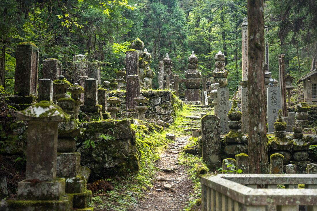 One of the many cemeteries dotting the side of Mount Koya 