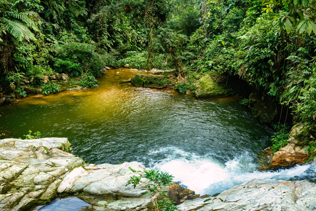 A pool of water in a river formed by a jungle waterfall to swim on the Lost City Trek in Sierra Nevada Mountains
