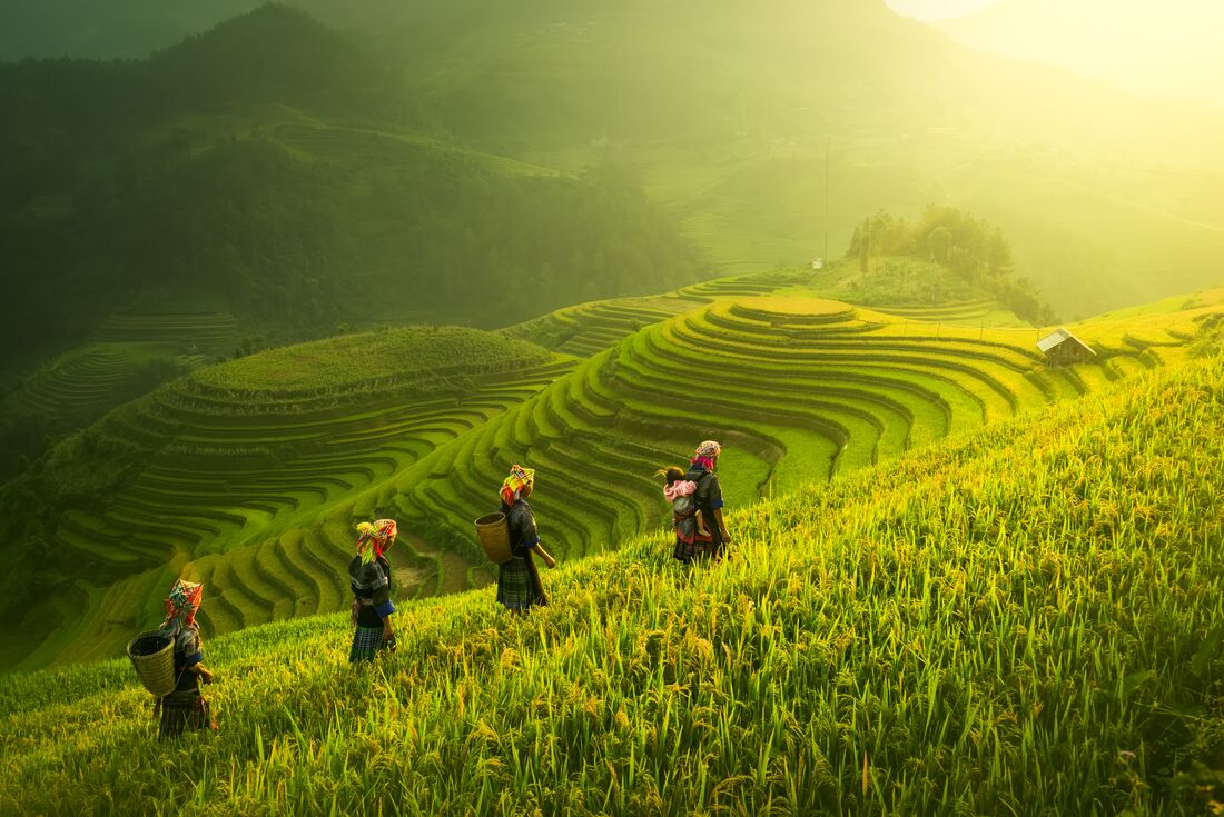 Locals with Horseshoe Terrace views in north Vietnam 