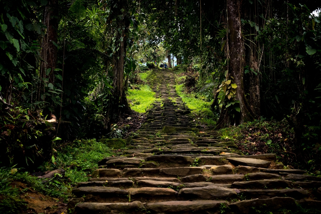 Ancient cobbled path up to Ciudad Perdida's lookout in the heart of the Sierra Nevadas in Colombia